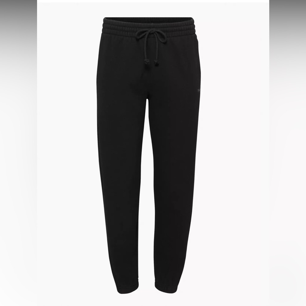Aritzia Tna Cozy Fleece Boyfriend Sweatpant